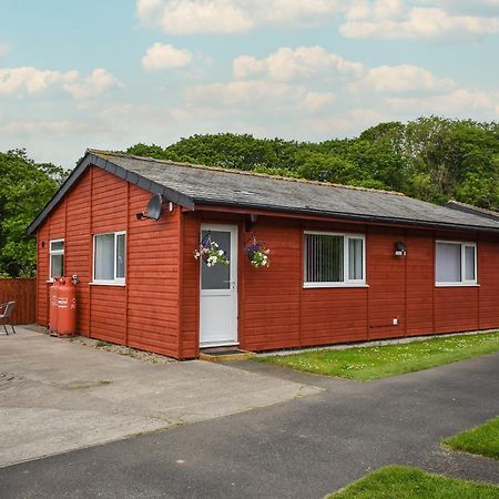 Bumblebee Lodge Staithes Esterno foto